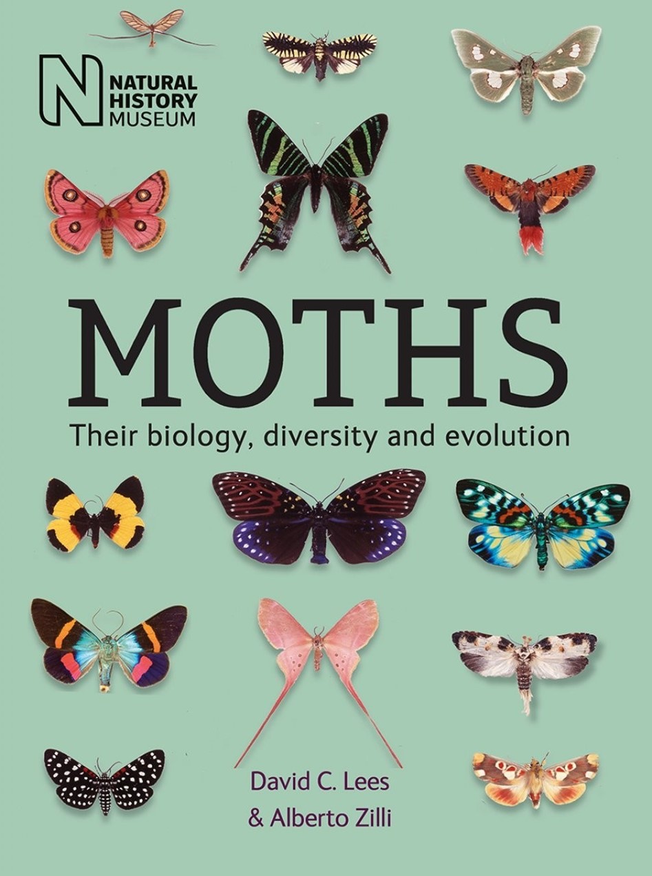 Moths: Their Biology, Diversity and Evolution
